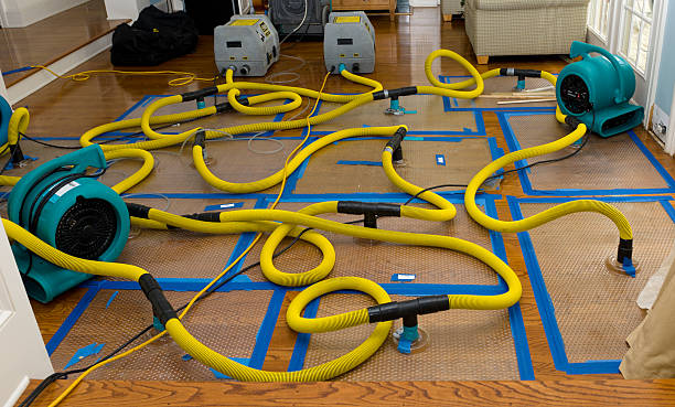 Professional Burst Pipe Water Damage technician working in Harleyville, SC